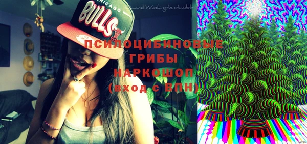 гидра Армянск