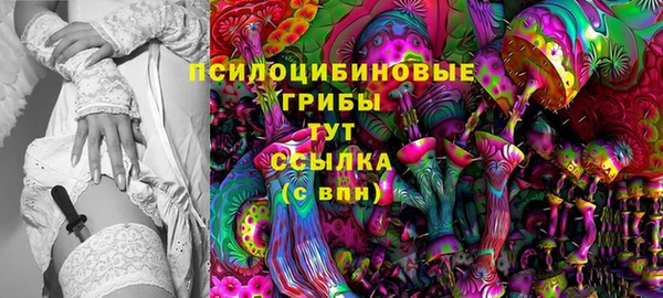 гидра Армянск