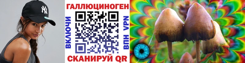 Галлюциногенные грибы мицелий  мега tor  Боготол 